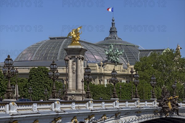 Paris Grand Palais and Pont Alexandre III
