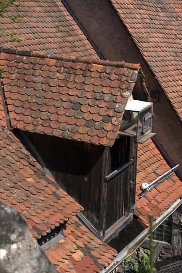 Dormer window with dovecote on an old farmhouse