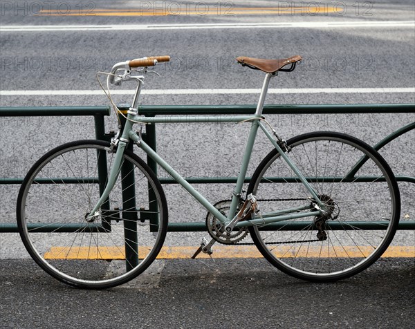 Green bicycle with brown black details