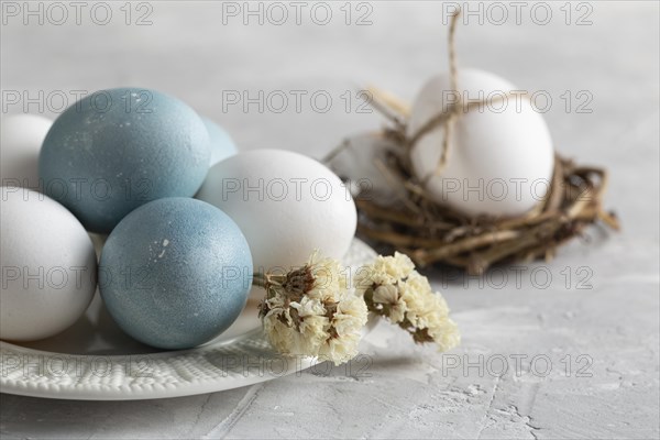 High angle easter eggs bird nest with plate flowers