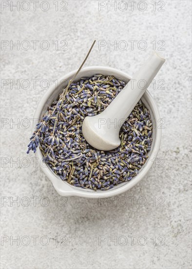 Lavender plant bowl arrangement