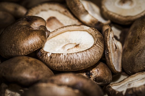 Macro shot fresh mushrooms