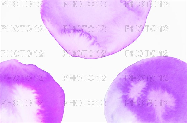 Overhead view purple watercolor circle isolated white backdrop