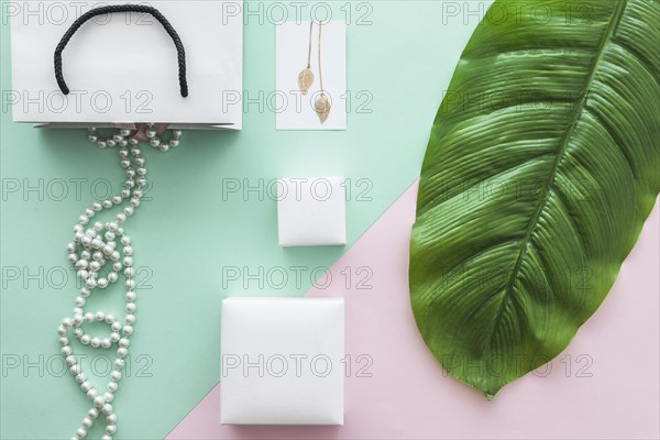 Pearls necklace golden earrings pastel backdrop with green leaf