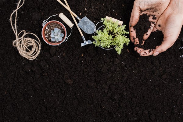 Plants buckets with copy space