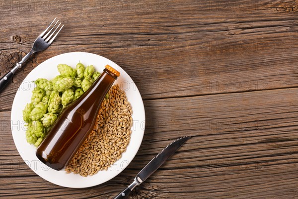 Plate with beer ingredients wooden background