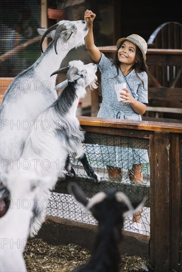 Portrait smiling girl feeding chips goat barn