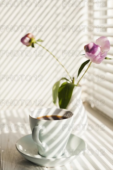 Shadow window blinds coffee cup flower vase