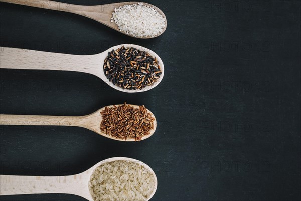 Spoons with various rice types