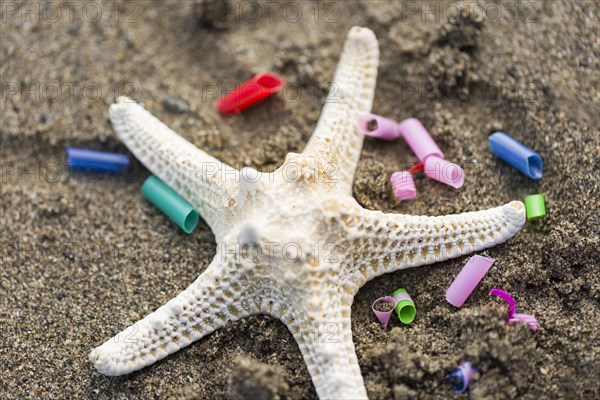 Starfish with plastic pieces