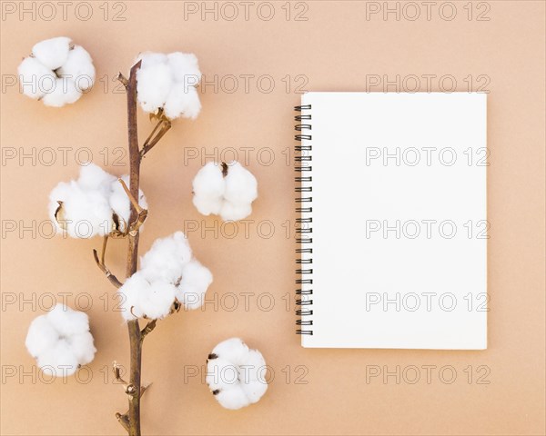 Top view arrangement with cotton flowers notebook