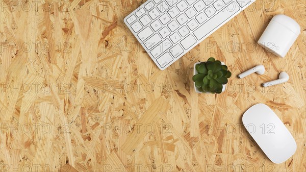 Top view desk with keyboard succulent