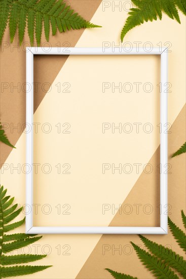 Top view frame with fern leaves