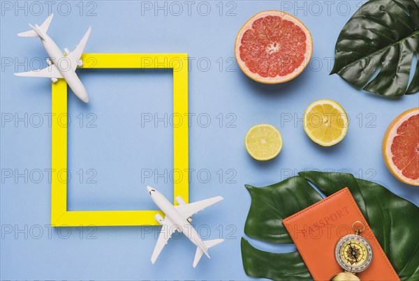 Travel concept with tropical leaves