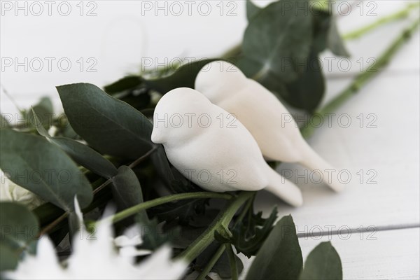 Two love birds leaves against white background