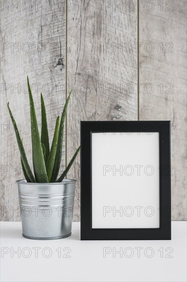Aloe vera aluminum container with white picture frame against wooden wall