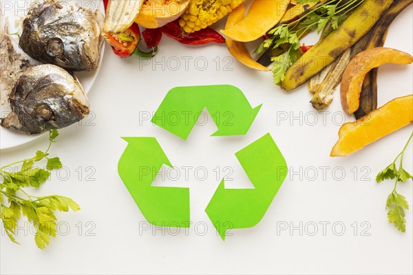 Arrangement cooked fish leftovers recycle symbol