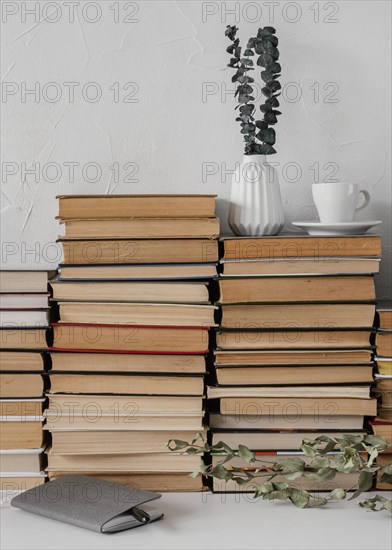 Books stack plants arrangement