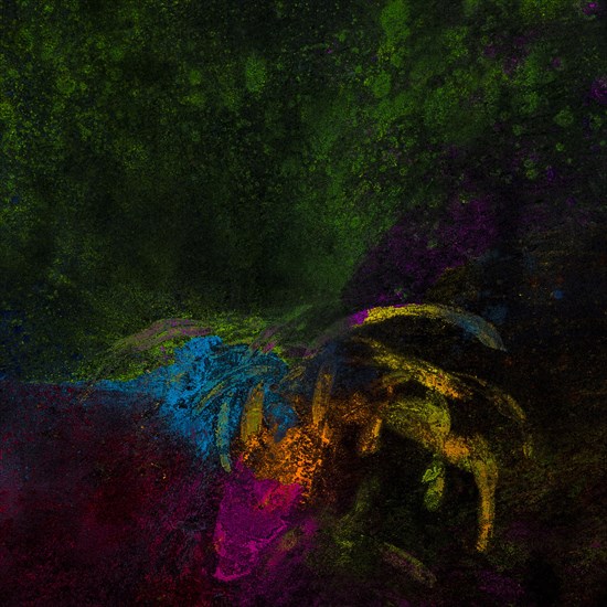 Bright rangoli colors spread black surface