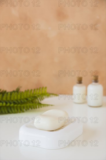 Close up soap bar soap dish with copy space