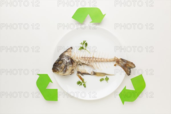 Cooked fish leftovers abstract recycle symbol