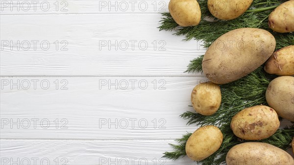 Copy space potatoes dill