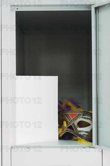 Elegant carnival mask locker