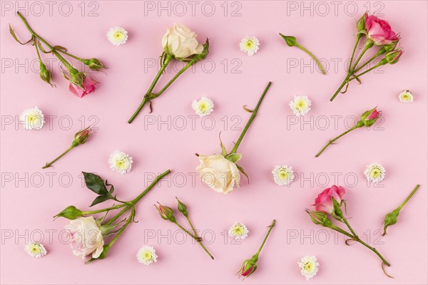 Flat lay flowers collection table 2