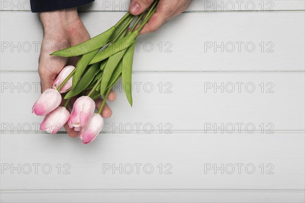 Hand holding pink tulips bouquet
