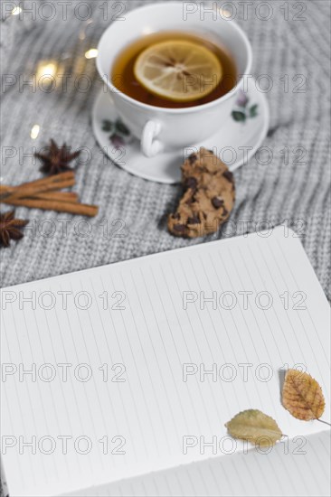 Opened notebook near tea cup