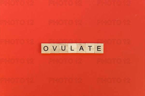 Ovulate word with scrabble letters red background