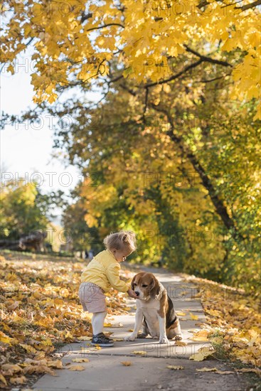 Small girl feeding her beagle dot park