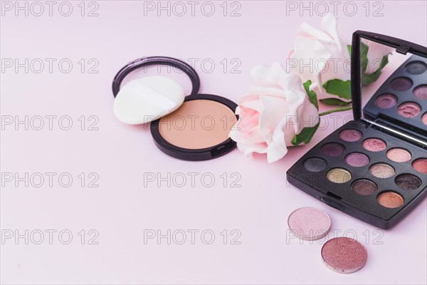 Sponge with blusher pink rose eyeshadow palette colored background