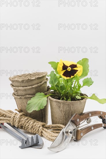 Stacked peat pots rope bundle gardening tools secateurs isolated white background