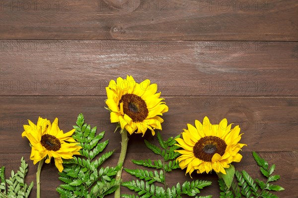 Sunflowers fern leaves wooden background