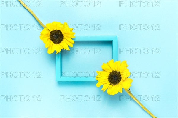 Sunflowers frame