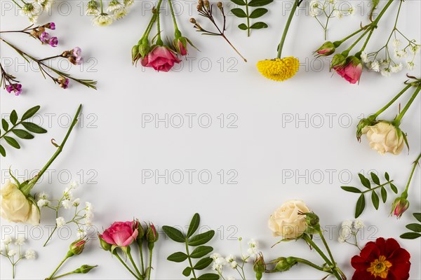 Top view flowers collection 3