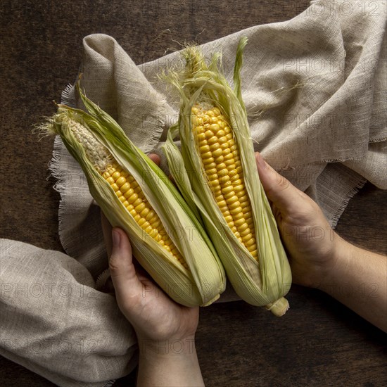 Top view person holding corn