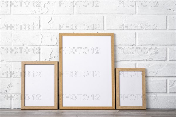 Blank frame collection shelf 2