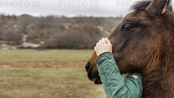 Close up hand holding horse head