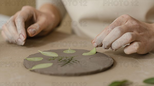 Close up hand holding leaf