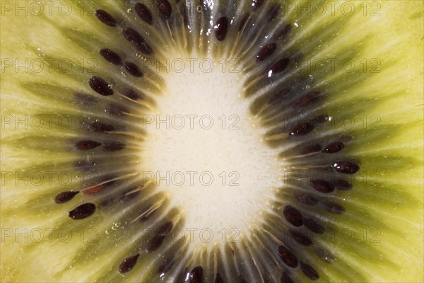 Close up kiwi organic background