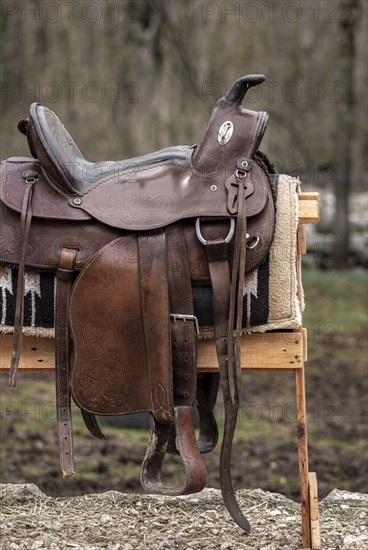 Country lifestyle with leather saddle