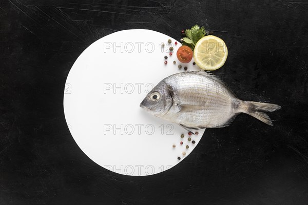Flat lay fish with plate lemon