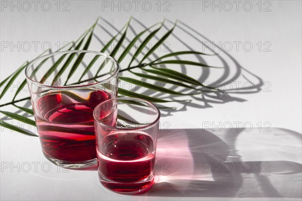 Glasses with leaves shadow 2