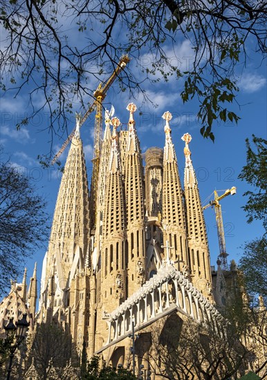 Sagrada Familia