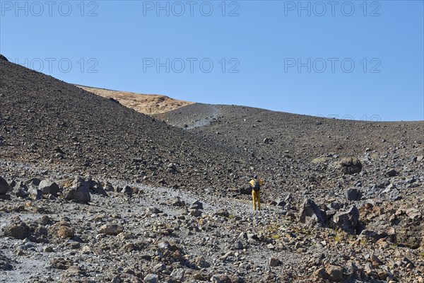 Grey lava landscape