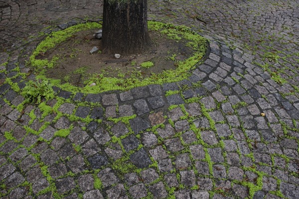 Uneven cobblestones