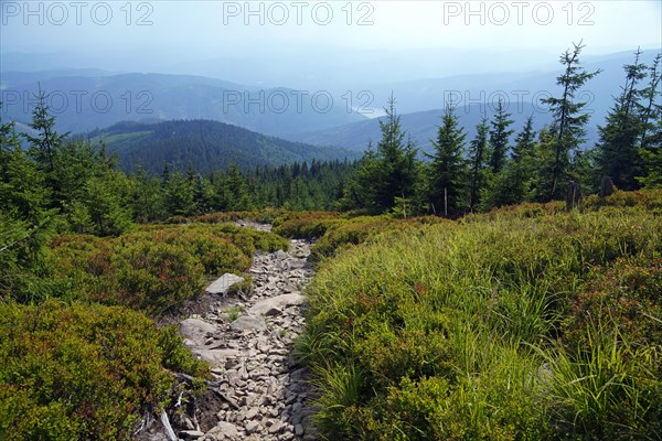 Moravian-Silesian Beskydy