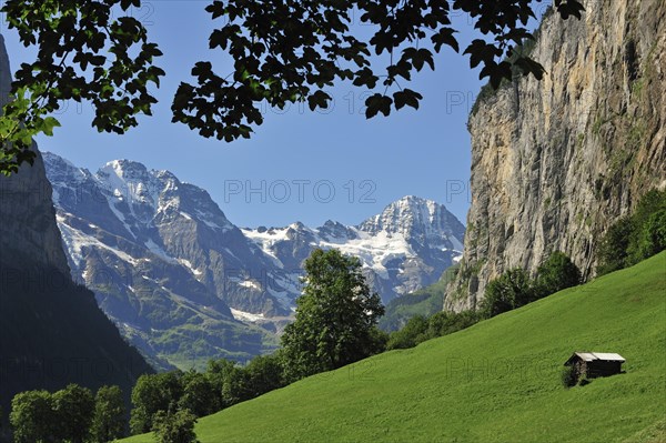 Alpine meadow with barn